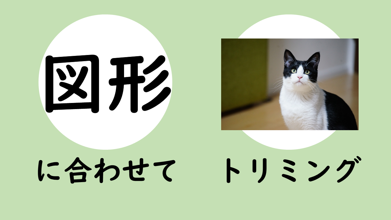 図形に合わせてトリミングができない パワポで挿入した形に切り抜く方法 テクこや